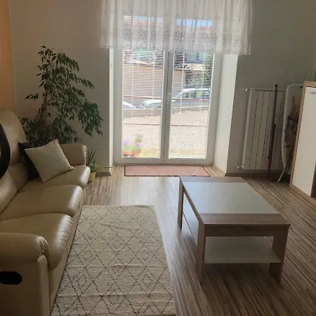 Apartma Mahnic Postojna Exterior photo