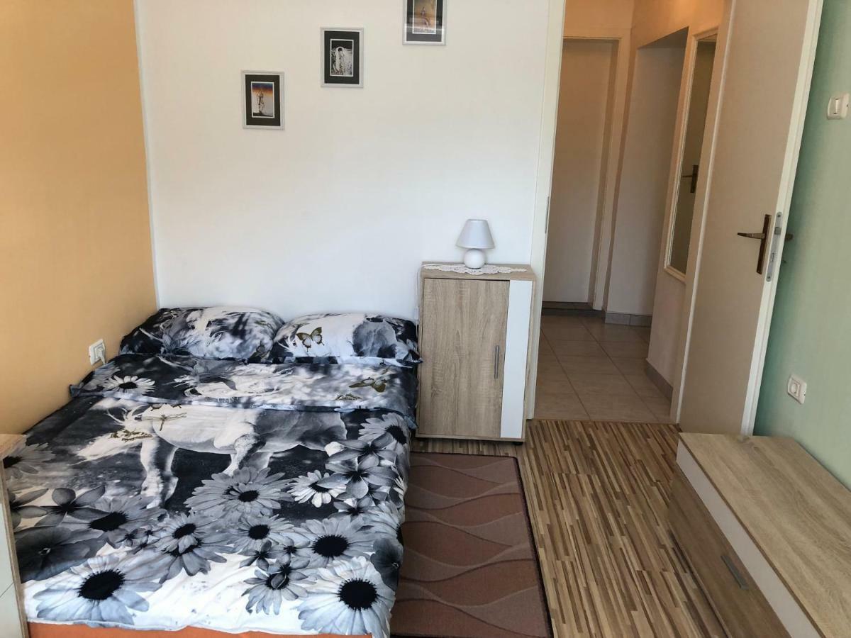 Apartma Mahnic Apartment