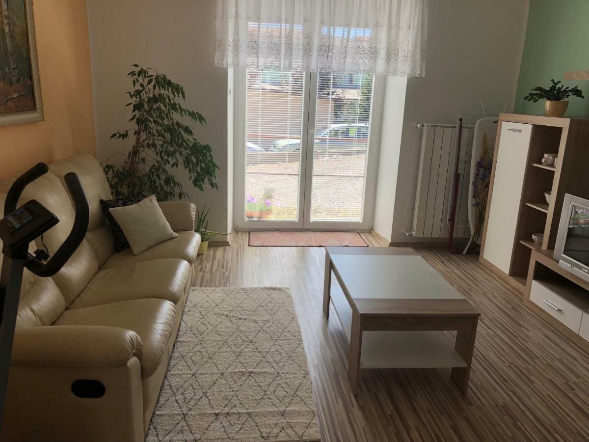 Apartment Apartma Mahnic