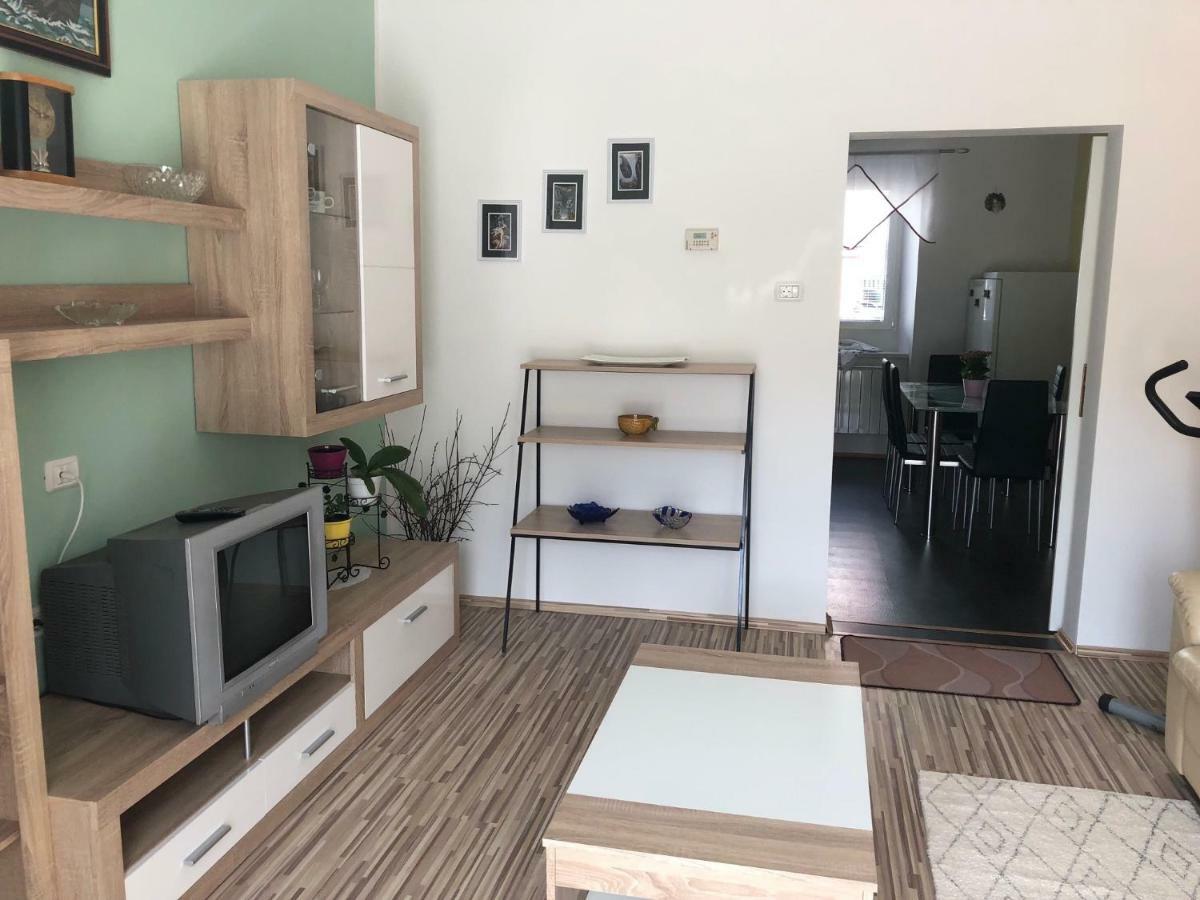 Apartma Mahnic Apartment